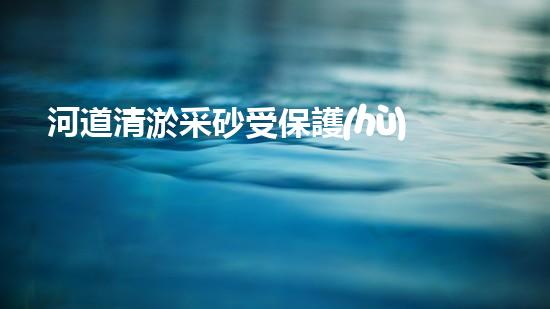 河道清淤采砂受保護(hù)嗎清淤工程如何提升水體生態(tài)？專家解密施工技巧與實(shí)戰(zhàn)經(jīng)驗(yàn)！
